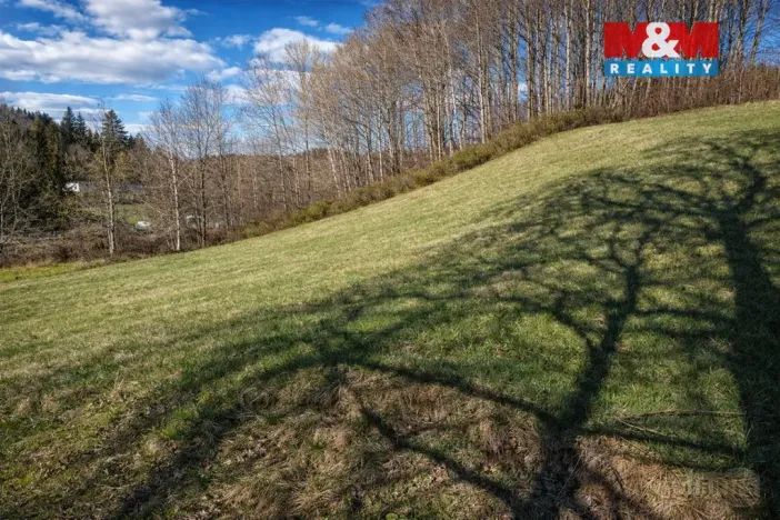 Prodej louky, Janův Důl, 2749 m2