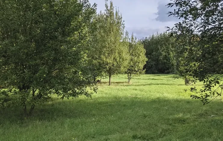 Prodej pozemku pro bydlení, Kladno, Jar. Seiferta, 4912 m2