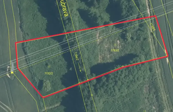 Prodej louky, Bělotín, 1706 m2