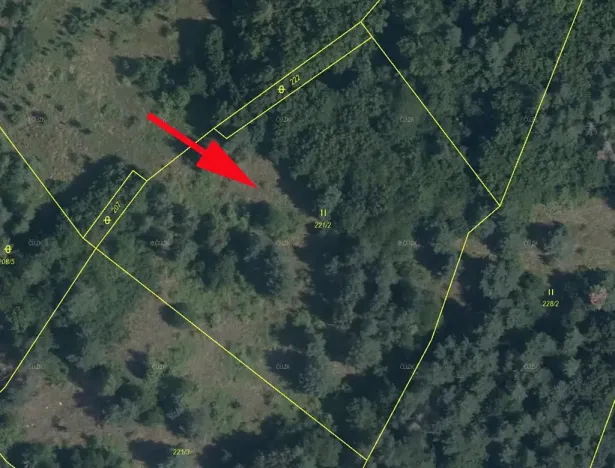 Prodej louky, Bohutín, 7386 m2