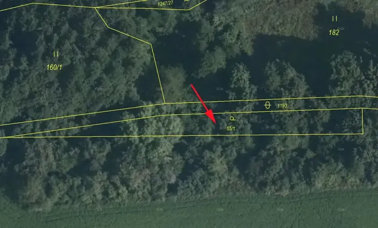 Prodej sadu/vinice, Mašťov, 553 m2