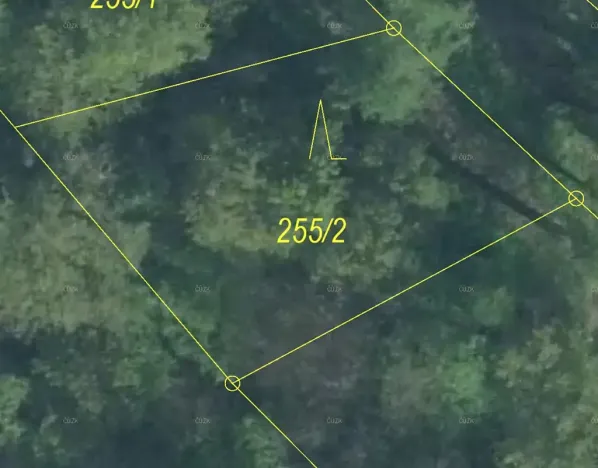 Prodej lesa, Karviná, 488 m2