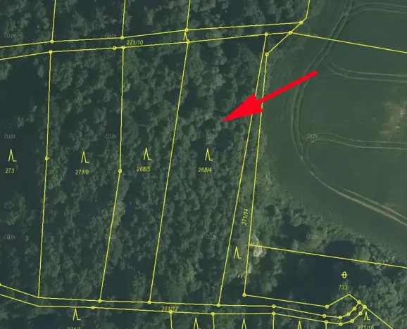 Prodej lesa, Zlatá Koruna, 2465 m2