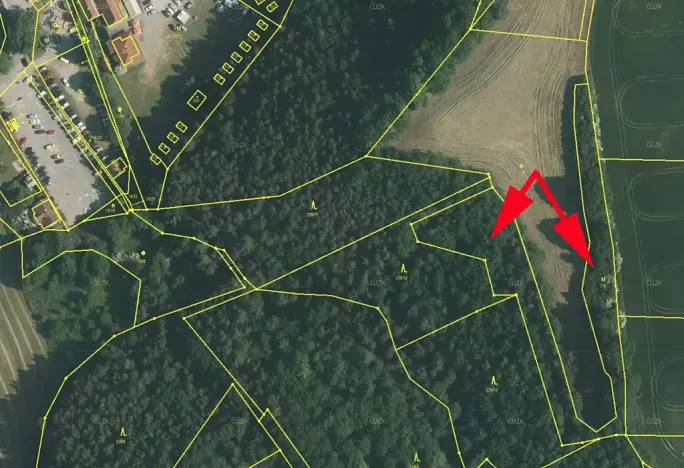 Prodej lesa, Zlatá Koruna, 4920 m2