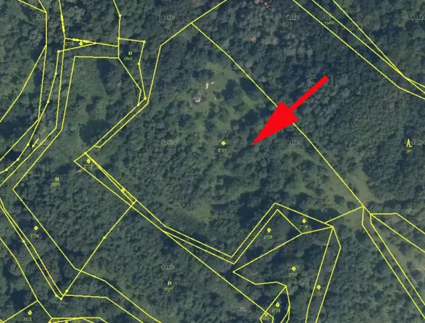 Prodej louky, Žiželice, 10278 m2