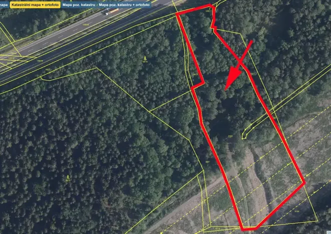 Prodej lesa, Sokolov, 13827 m2