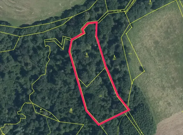 Prodej lesa, Český Těšín, 6540 m2