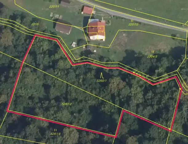 Prodej lesa, Huslenky, 4913 m2