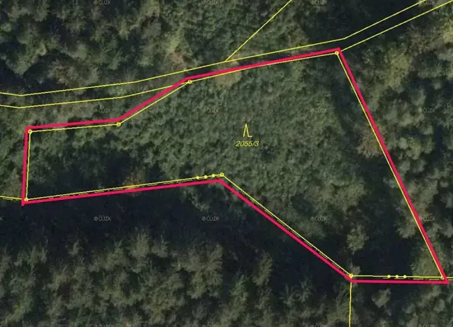 Prodej lesa, Leskovec, 4449 m2