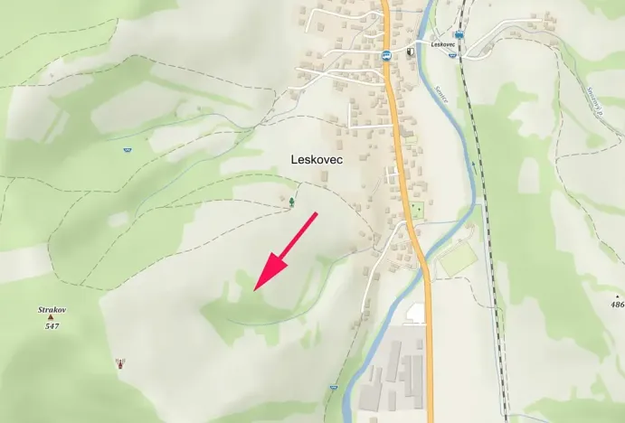 Prodej lesa, Leskovec, 6606 m2