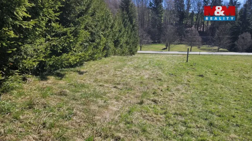 Prodej louky, Rokytnice v Orlických horách, 609 m2