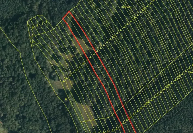 Prodej lesa, Suchá Loz, 10956 m2