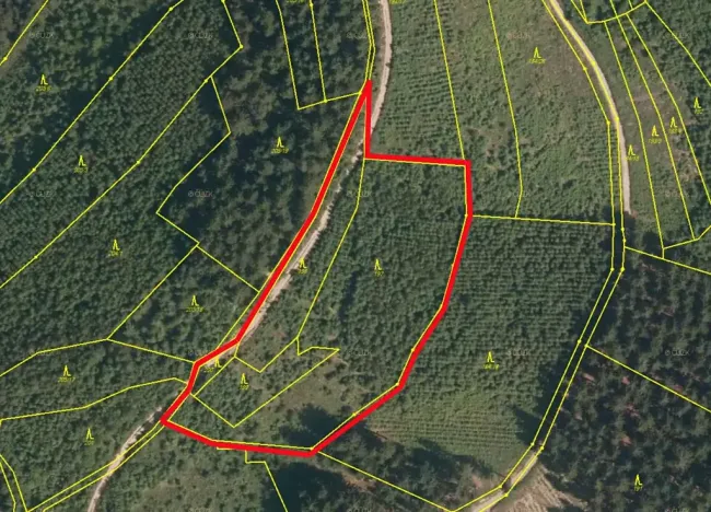 Prodej lesa, Lhota u Vsetína, 8758 m2