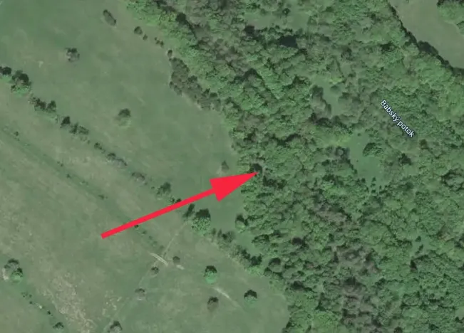 Prodej lesa, Trutnov, 7083 m2