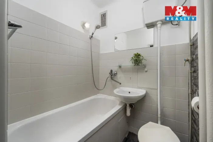 Prodej bytu 1+1, České Budějovice - České Budějovice 6, Mánesova, 33 m2