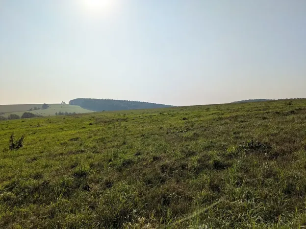 Prodej pozemku pro bydlení, Nové Lublice, 3046 m2