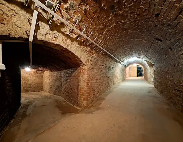 Prodej činžovního domu, Brno, Hlinky, 1140 m2