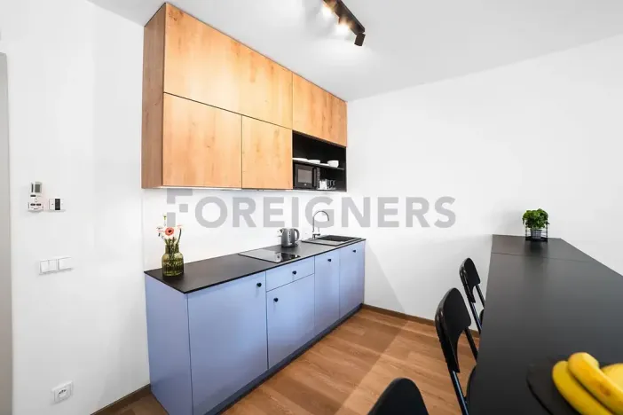 Pronájem bytu 1+kk, Olomouc, Edmunda Husserla, 43 m2