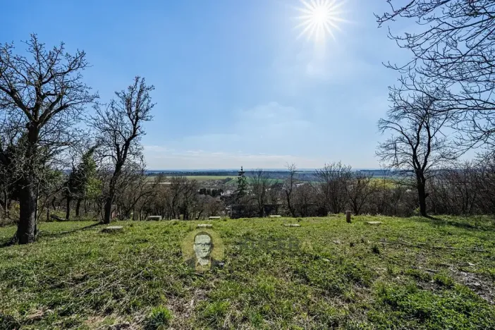 Prodej pozemku pro bydlení, Střemy, 3158 m2