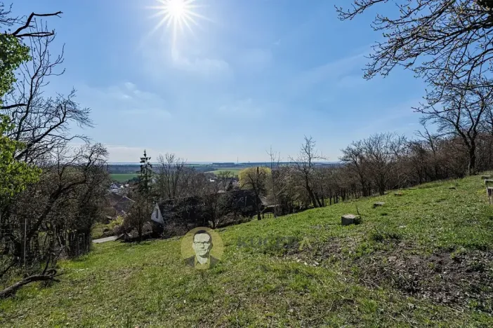 Prodej pozemku pro bydlení, Střemy, 3158 m2