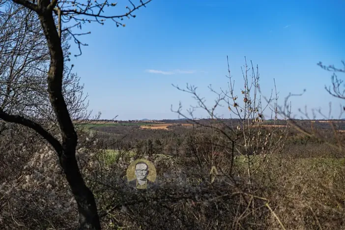 Prodej pozemku pro bydlení, Střemy, 3158 m2