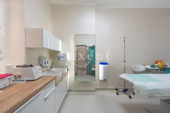 Pronájem ordinace, Praha - Josefov, Elišky Krásnohorské, 34 m2