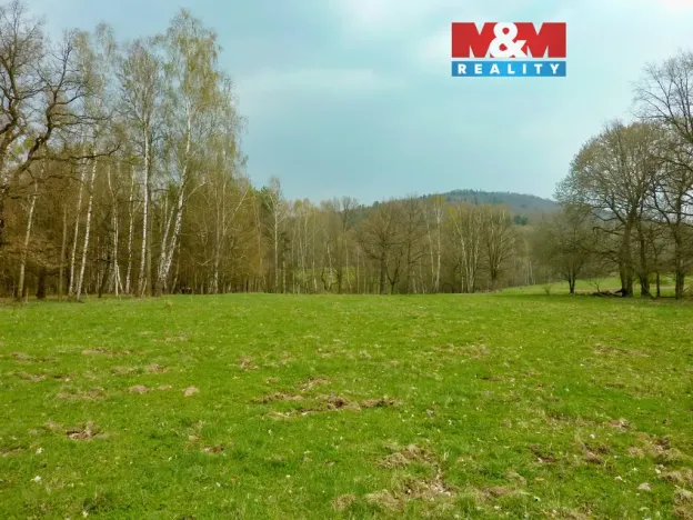 Prodej louky, Stružnice, 55278 m2