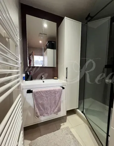 Pronájem bytu 1+kk, Brno - Medlánky, Palackého třída, 33 m2