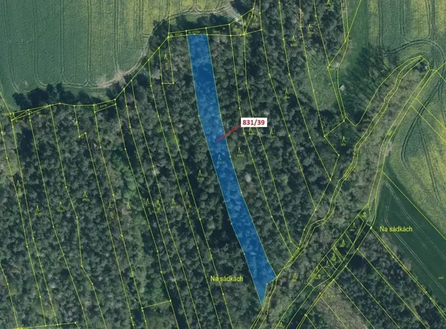 Dražba lesa, Koloveč, 3368 m2