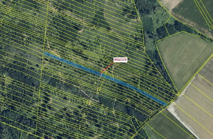 Dražba lesa, Nová Hradečná, 6275 m2