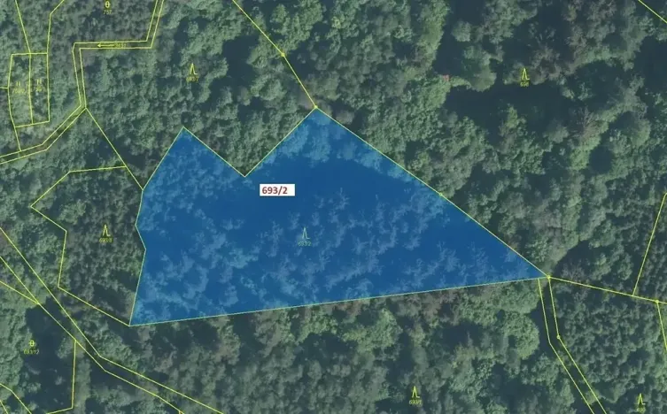 Dražba lesa, Lačnov, 7364 m2