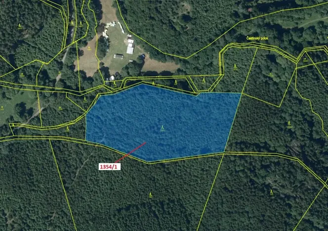 Dražba lesa, Čestín, 13976 m2