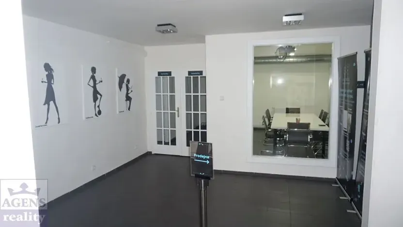 Pronájem obchodního prostoru, Praha - Holešovice, Dobrovského, 362 m2