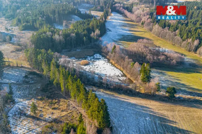 Prodej rybníku, Horní Ves, 21990 m2