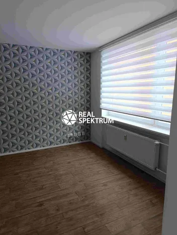 Pronájem bytu 3+kk, Blansko, Dvorská, 73 m2