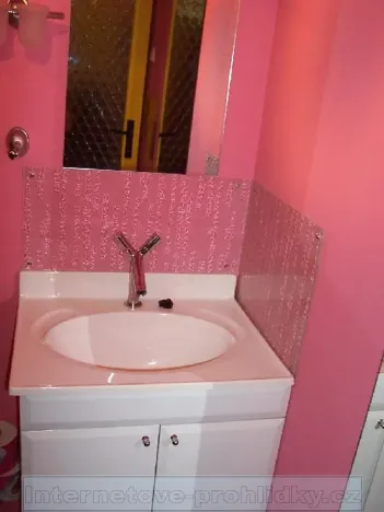 Pronájem pokoje, Liberec, Tanvaldská, 43 m2