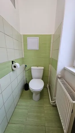 Pronájem bytu 2+1, Teplice, Svojsíkova, 55 m2