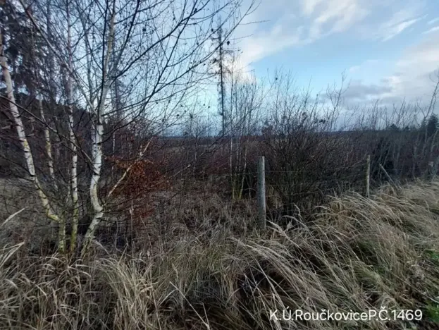 Prodej lesa, Pacov, 10995 m2