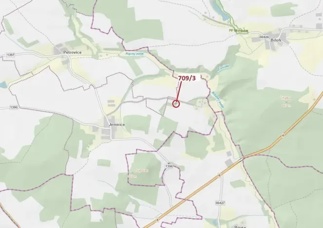 Dražba lesa, Osek, 301 m2