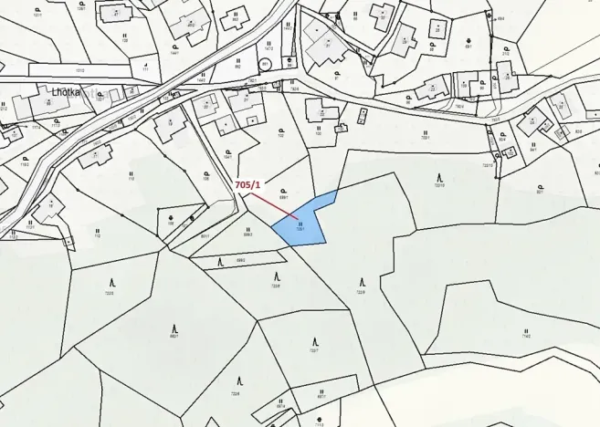 Dražba louky, Zlatá Olešnice, 438 m2