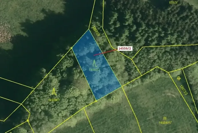 Dražba lesa, Hovězí, 605 m2