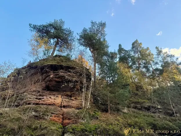 Prodej rodinného domu, Noviny pod Ralskem, 210 m2