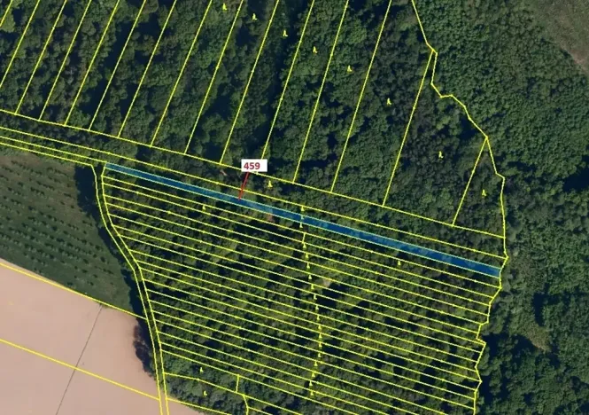 Dražba lesa, Hradčany-Kobeřice, 1895 m2