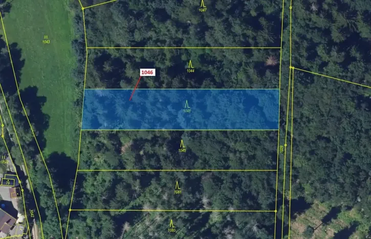 Dražba lesa, Vír, 2432 m2