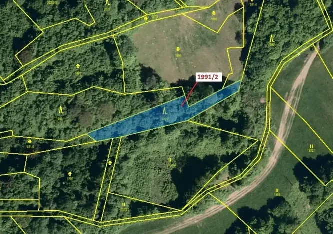 Dražba lesa, Hovězí, 933 m2