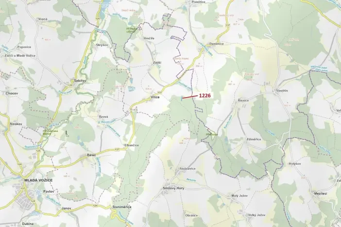 Dražba lesa, Vilice, 3593 m2