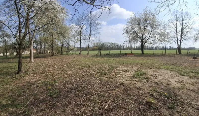 Prodej pozemku, Jenišovice, 871 m2