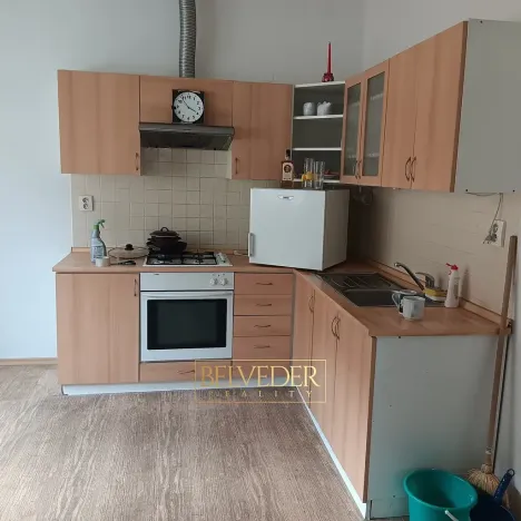 Pronájem bytu 1+1, Teplice, Masarykova třída, 45 m2