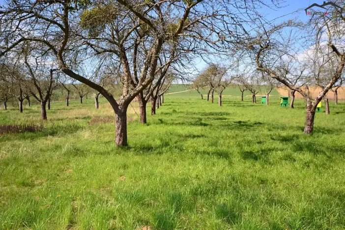 Prodej zahrady, Bučovice, 363 m2