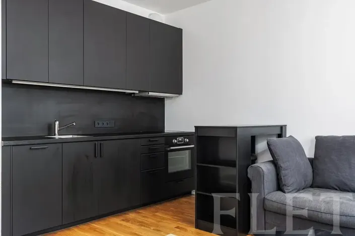 Pronájem bytu 1+kk, Praha - Smíchov, Grafická, 30 m2